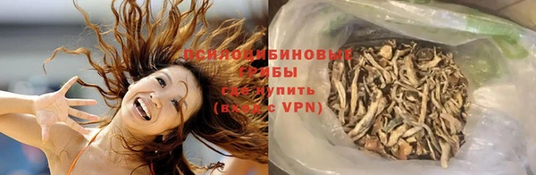дурь Богородицк