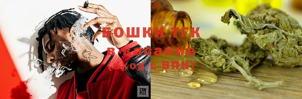дурь Богородицк