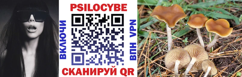 Галлюциногенные грибы Psilocybe  цены наркотик  Новохопёрск 